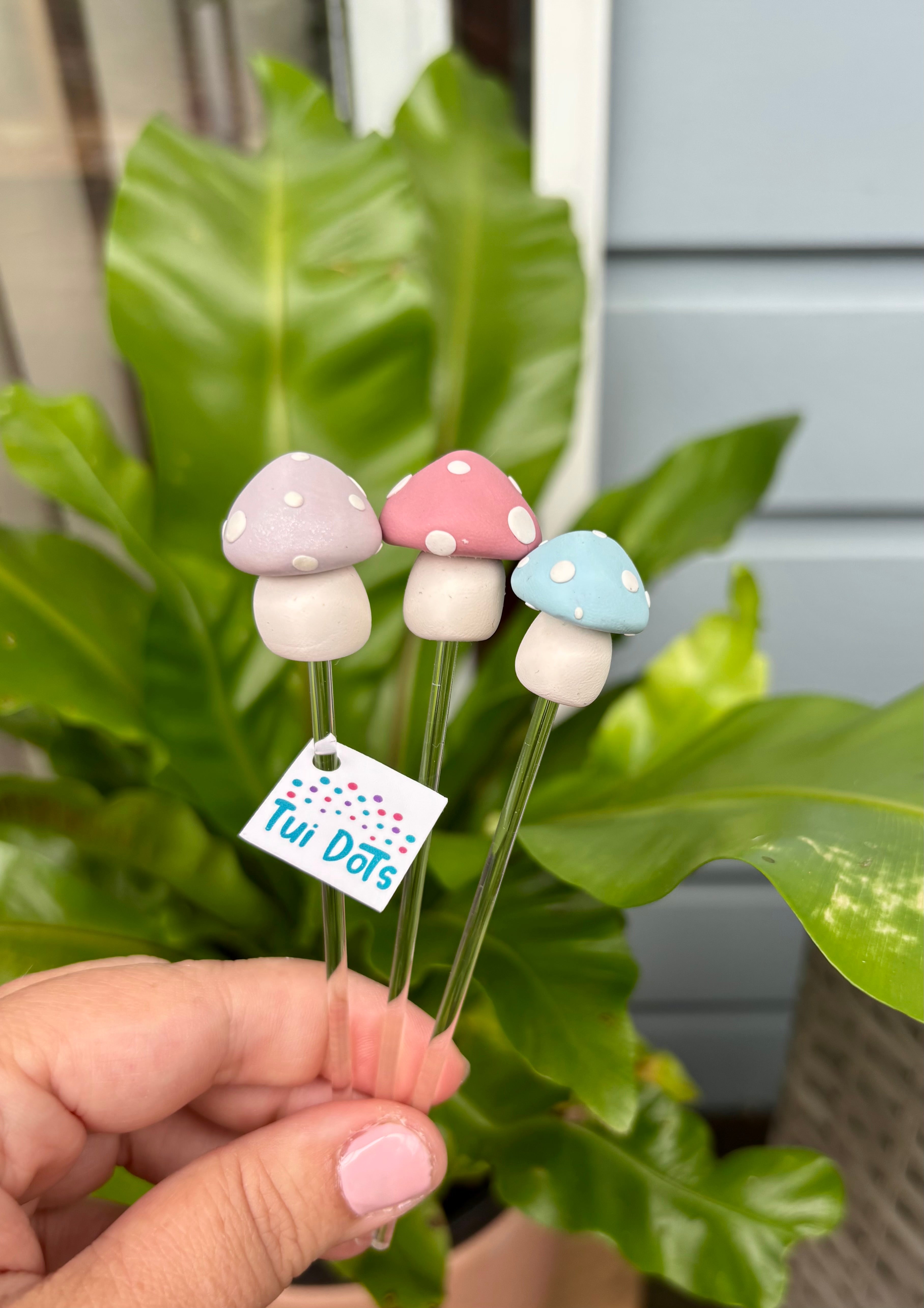 Plant Pals - Mini Mushies trio (Trio 3) | Polymer clay mushrooms