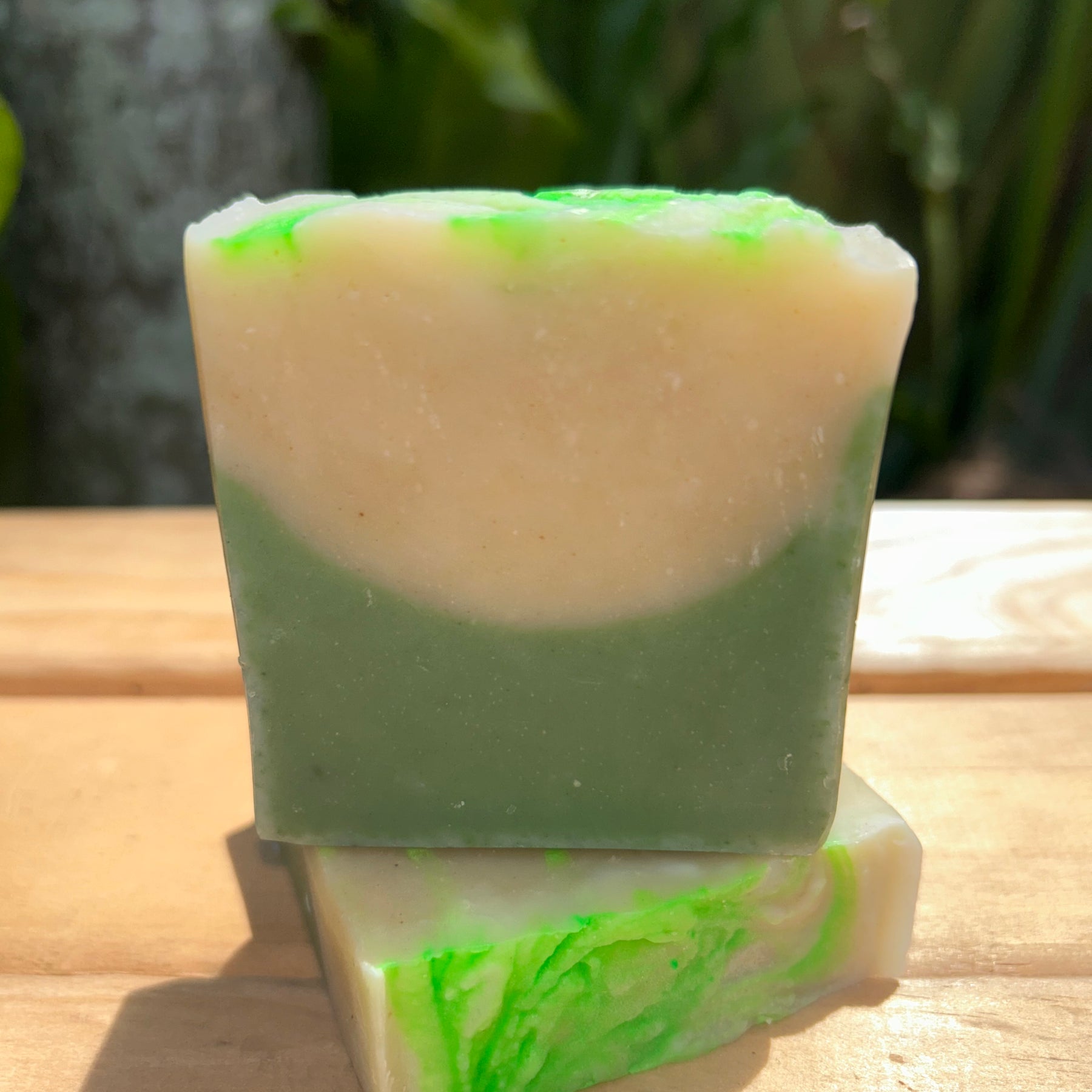 Homegrown Aloe Vera & Moringa Soap | Shea Butter | Organic | Natural | Gentle