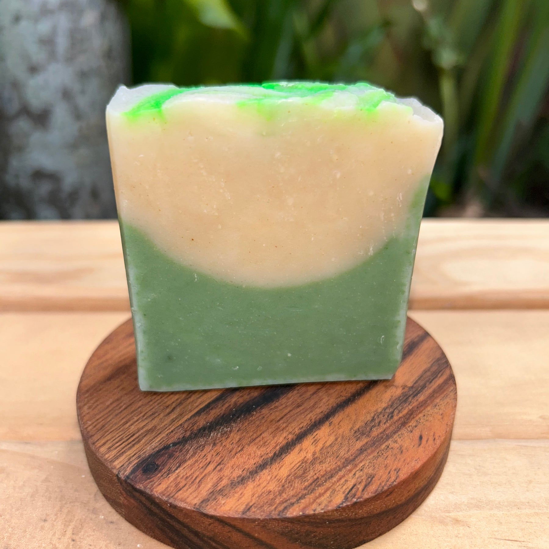 Homegrown Aloe Vera & Moringa Soap | Shea Butter | Organic | Natural | Gentle