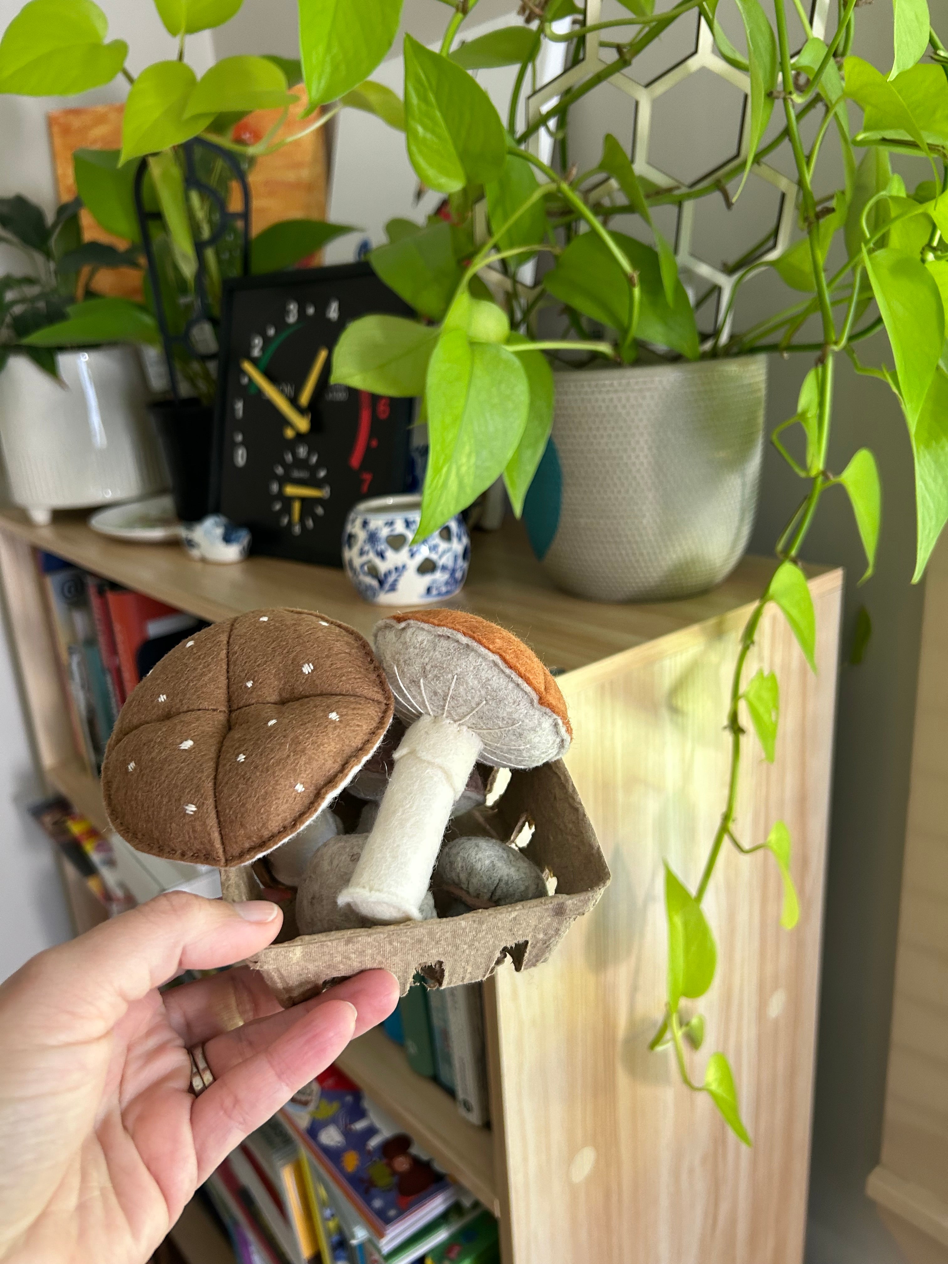 Mushrooms punnet (5), felt play food toy