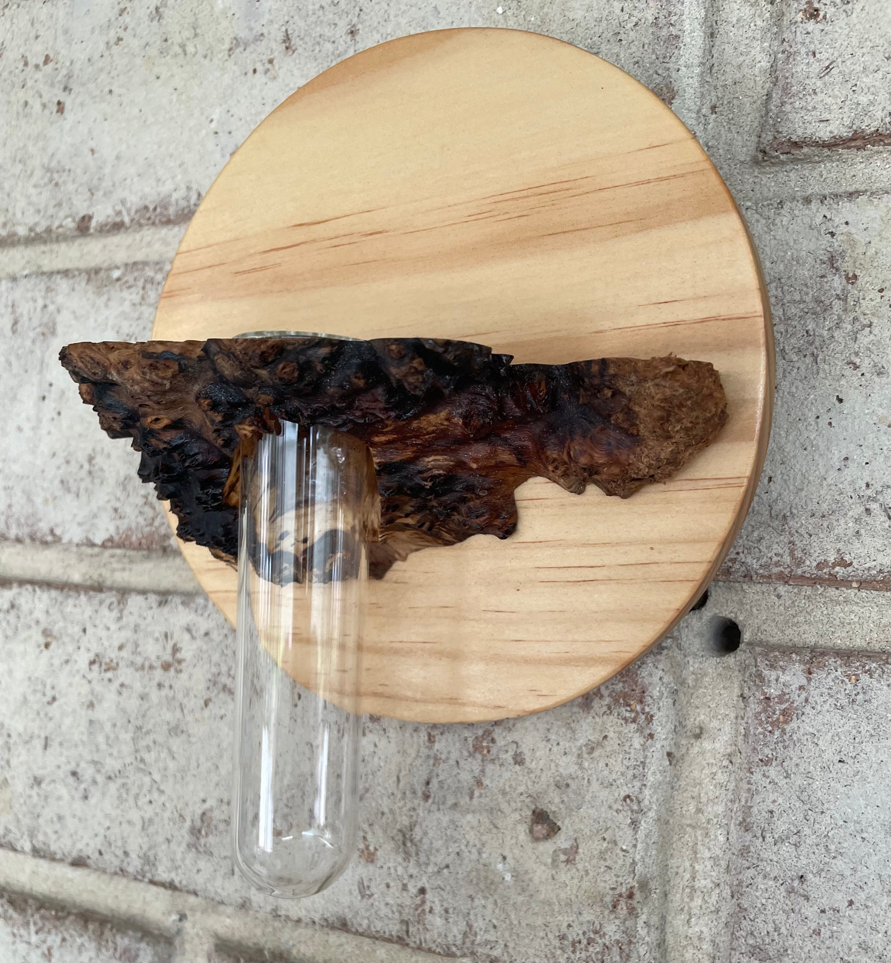 Hanging Vase or Propagating tube