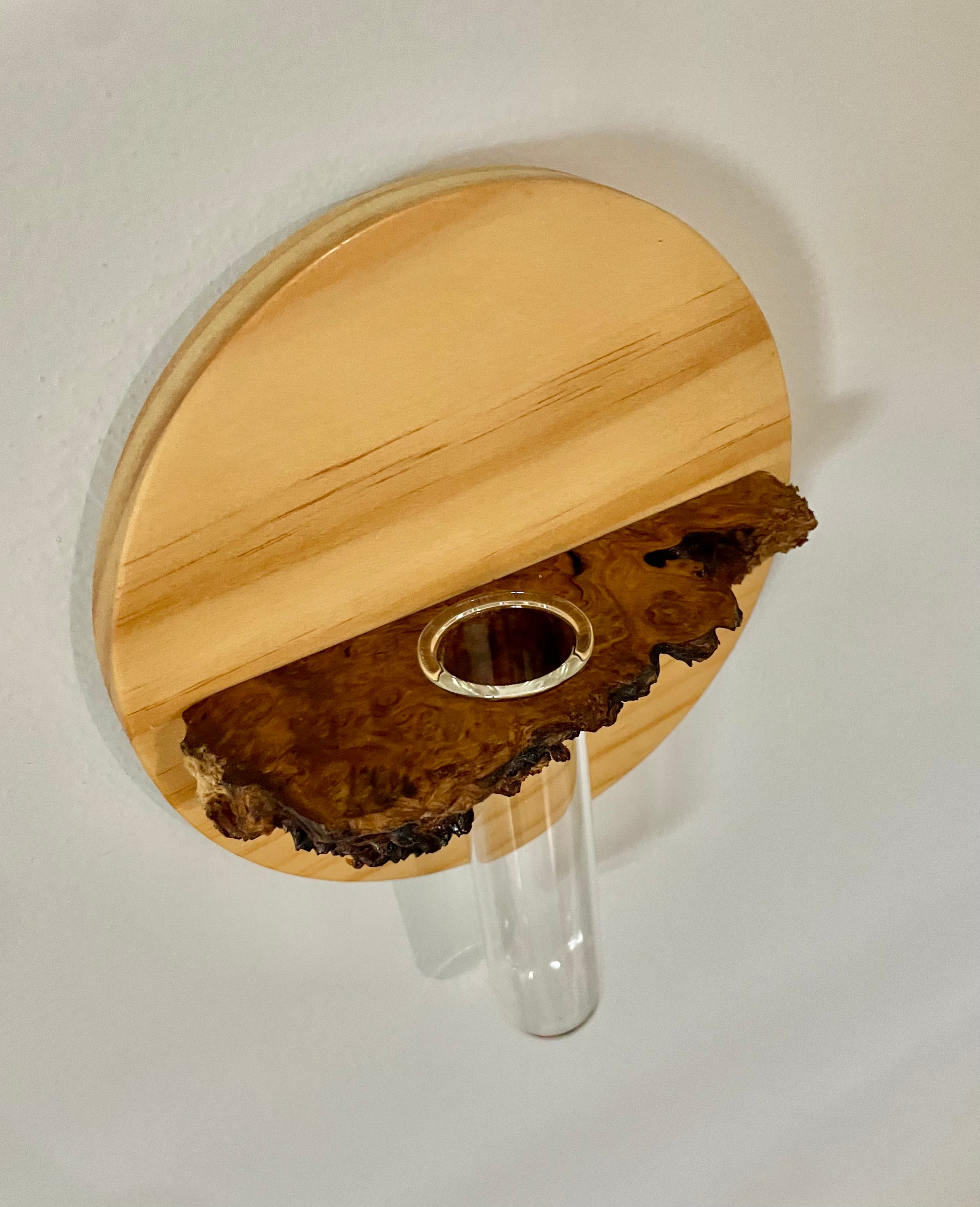 Hanging Vase or Propagating tube