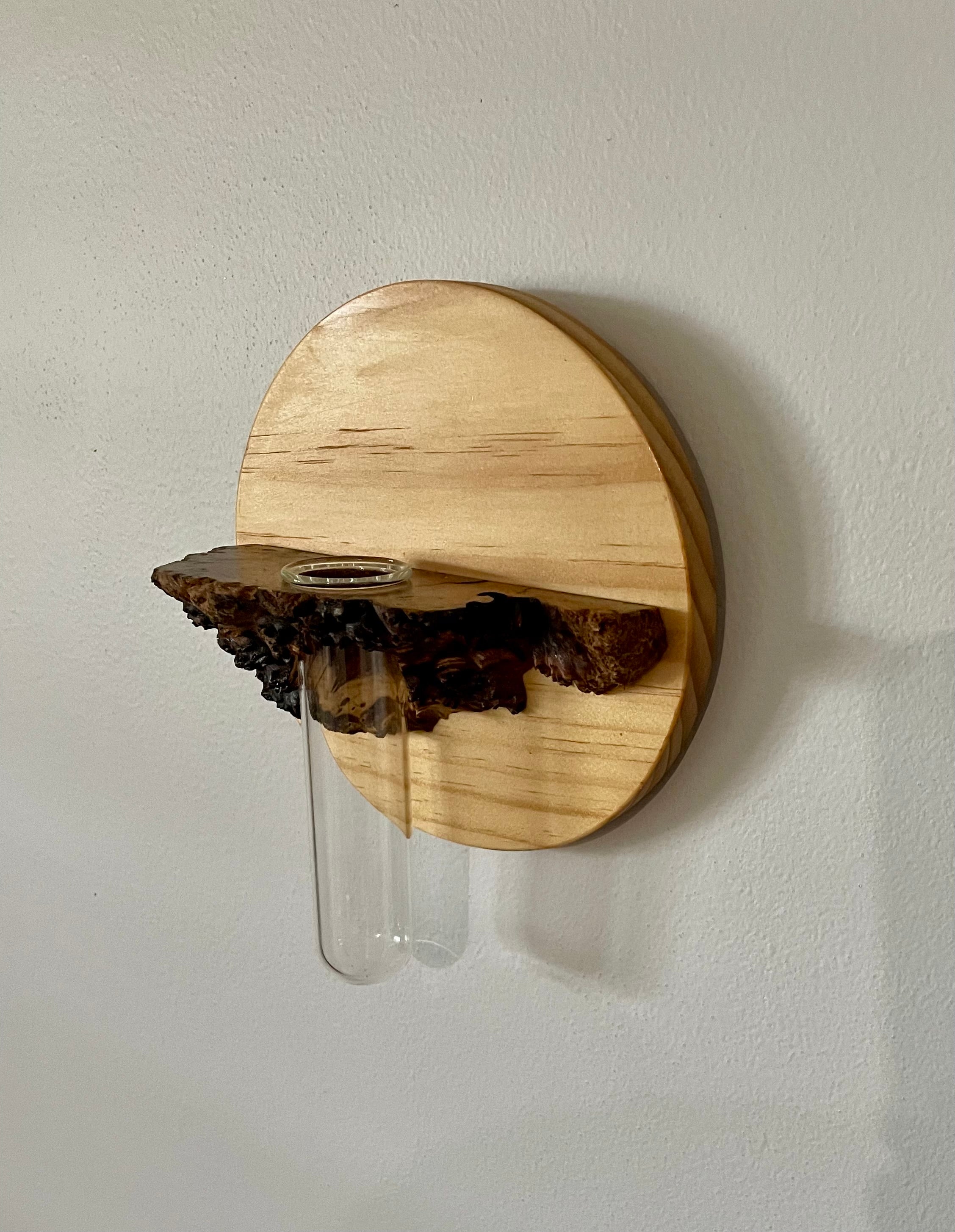 Hanging Vase or Propagating tube