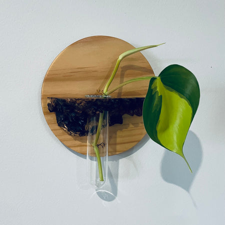 Hanging Vase or Propagating tube