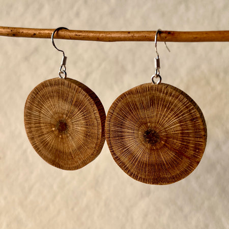 Unique Banksia Earrings Handmade from Recycled Timber