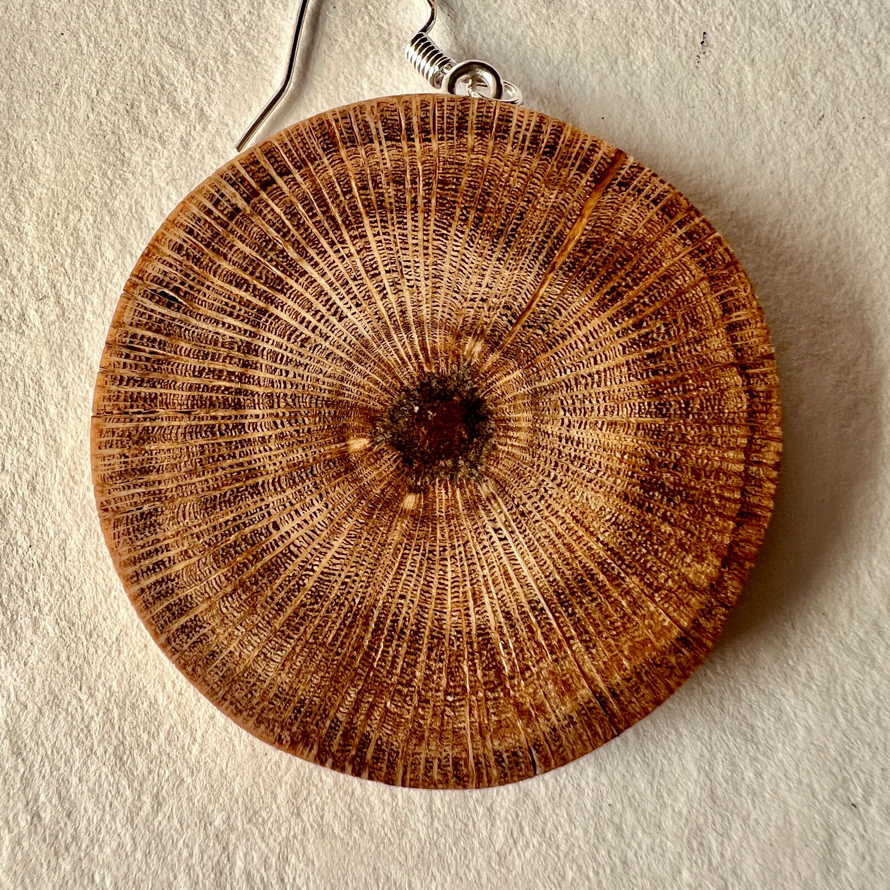 Unique Banksia Earrings Handmade from Recycled Timber