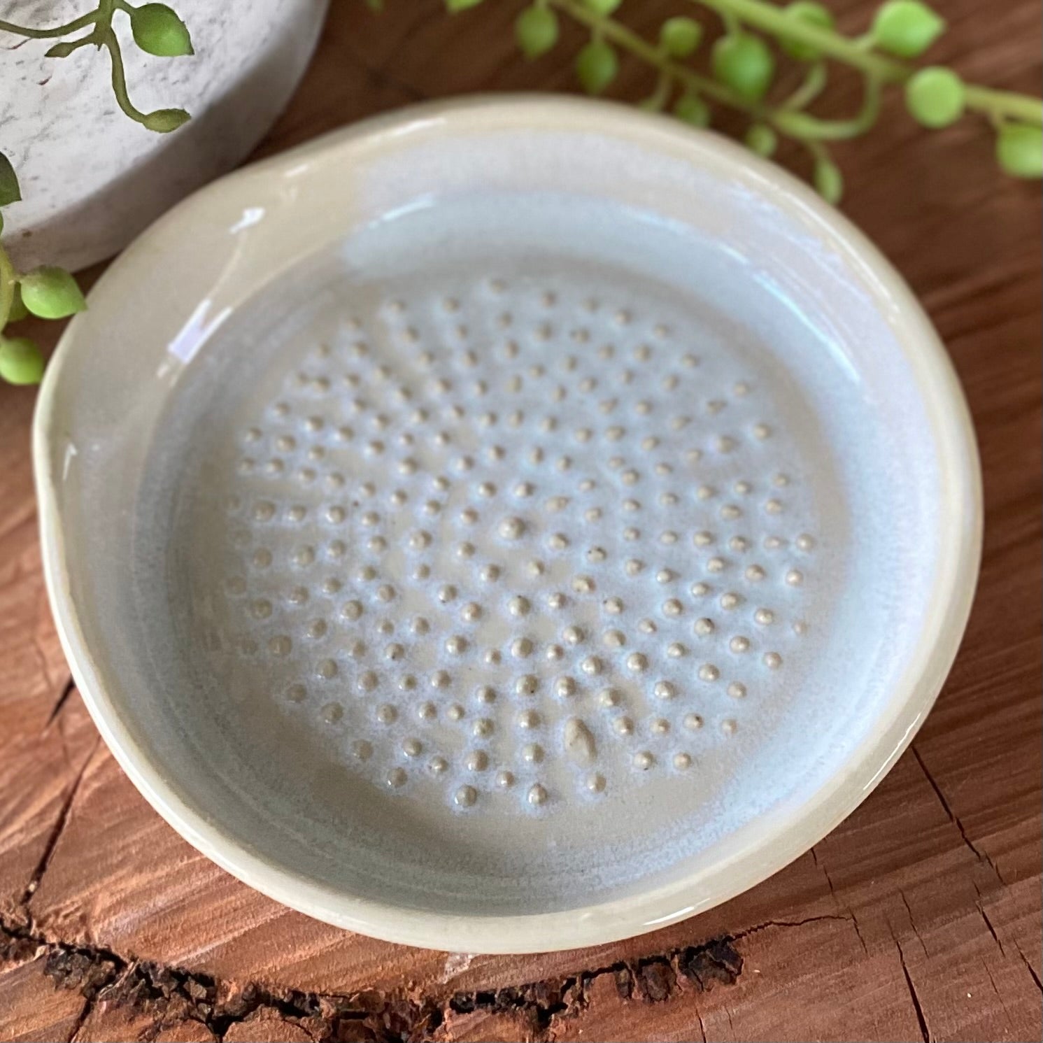 Ceramic Garlic/Ginger Grater / Handmade Pottery SOLD OUT
