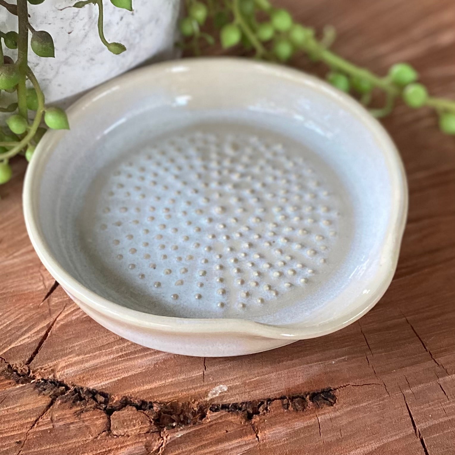 Ceramic Garlic/Ginger Grater / Handmade Pottery SOLD OUT