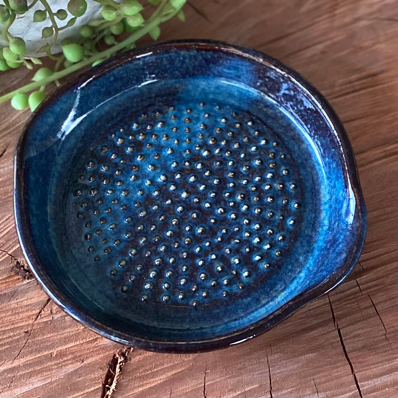 Ceramic Garlic/Ginger Grater / Handmade Pottery SOLD OUT