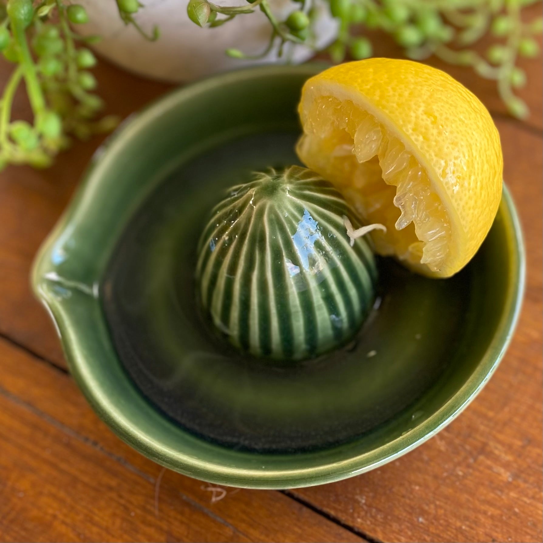 Ceramic Juicer / Handmade Pottery