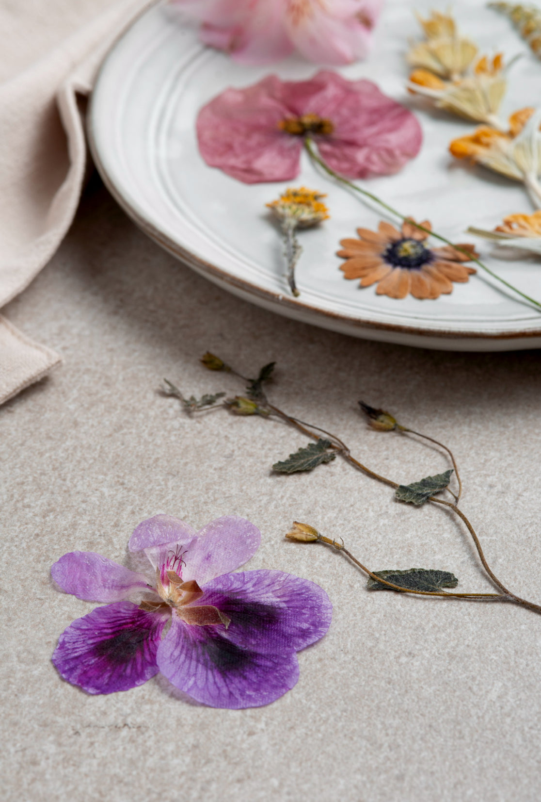 DIY UV Resin Botanical Jewellery Kit