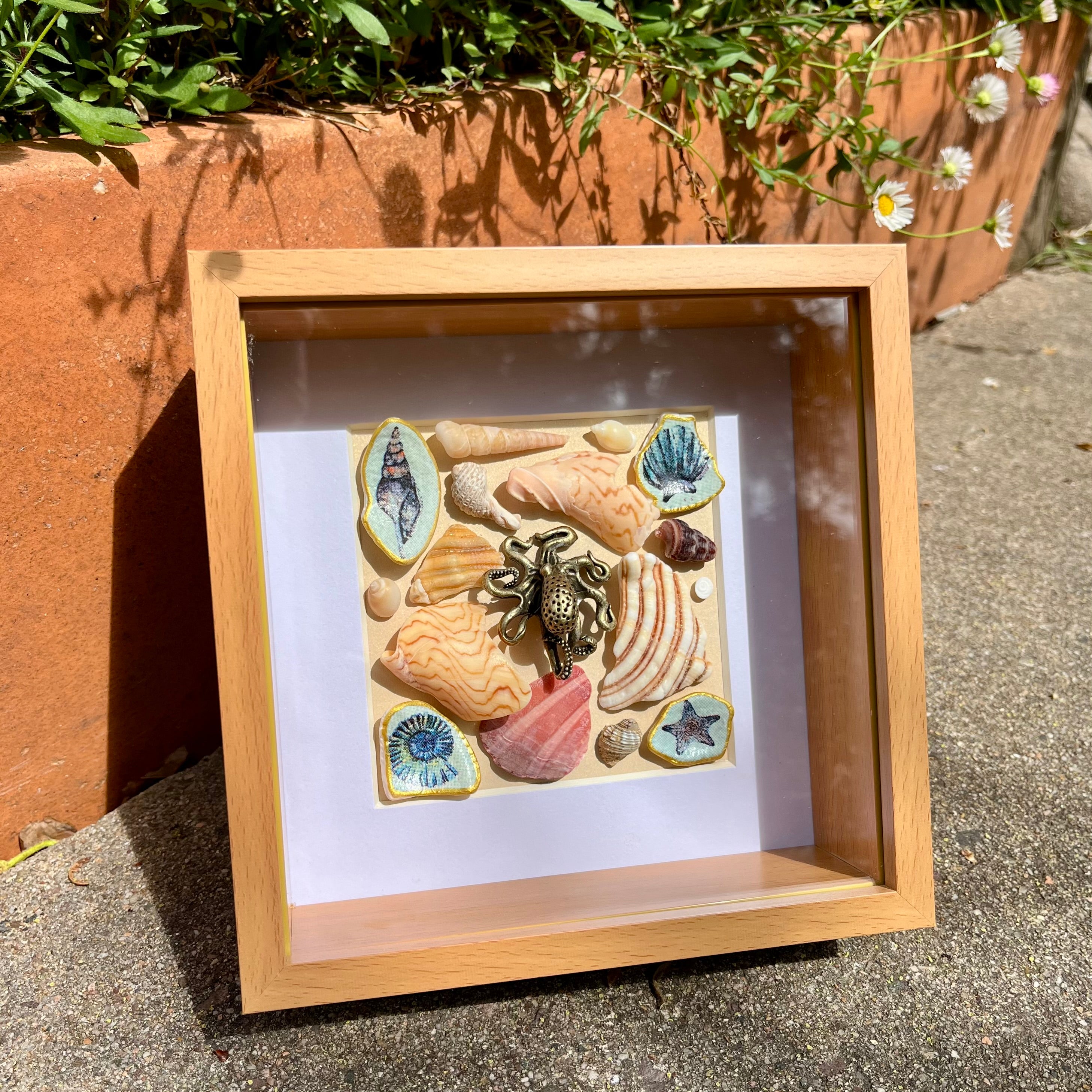 Coastal Octopus Shell Collage Framed Wall Art