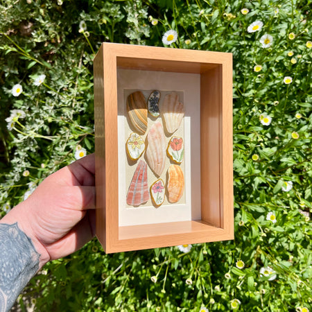 Framed Natural & Floral Shell Art Display