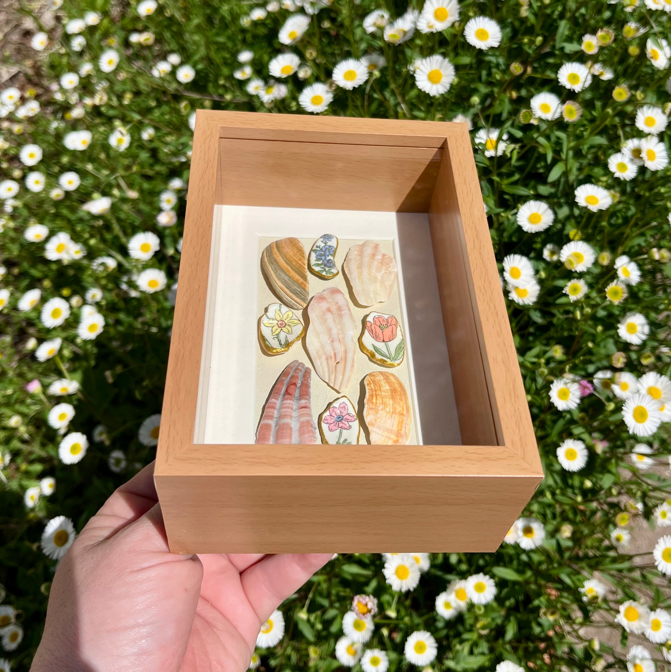 Framed Natural & Floral Shell Art Display