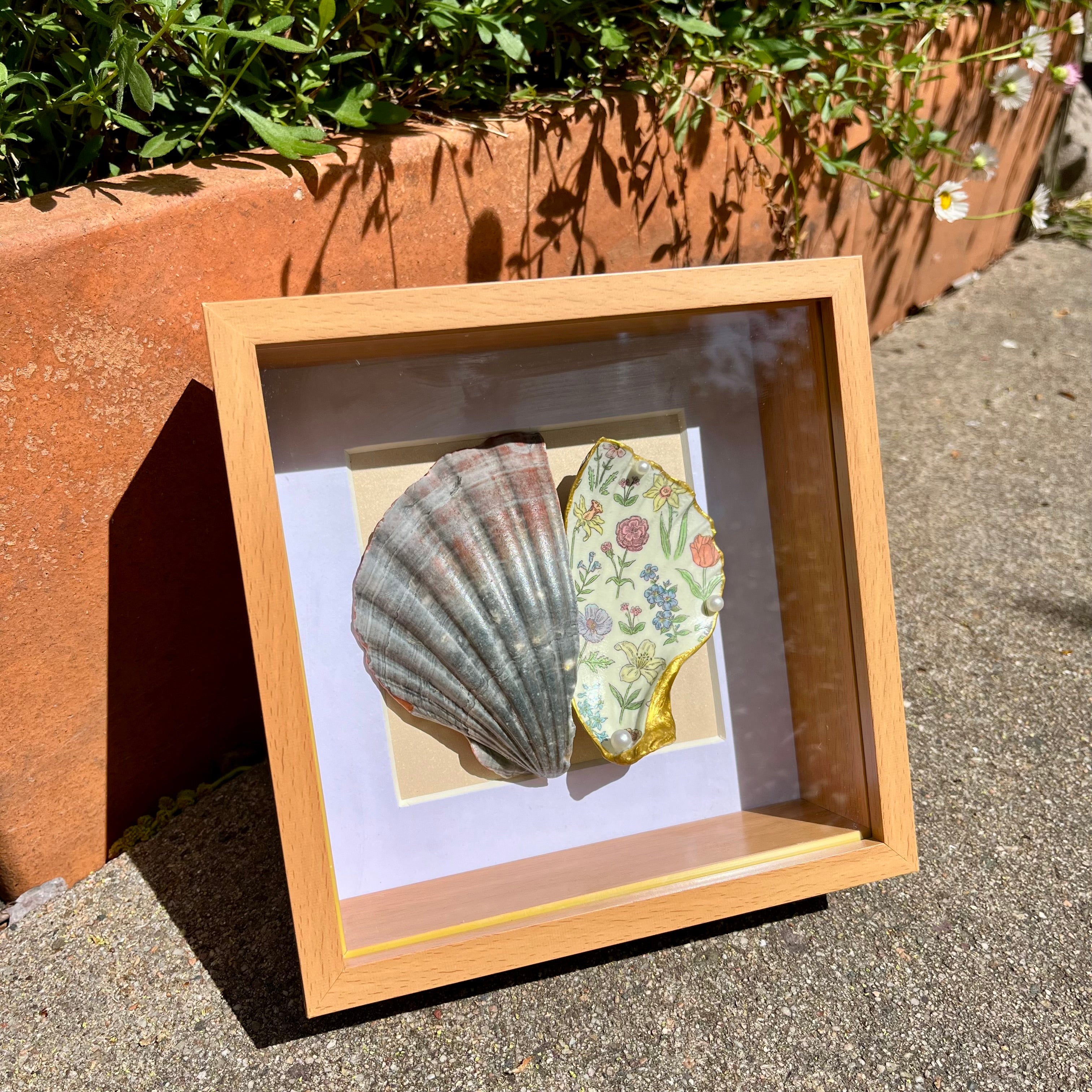 Framed Scallop Shell Display Delicate Floral