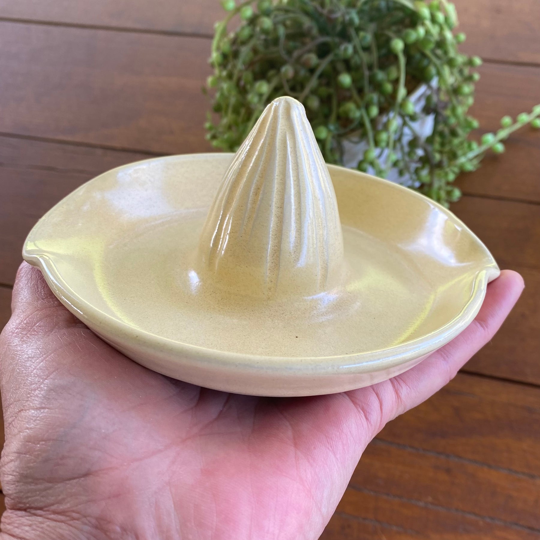 Ceramic Juicer / Handmade Pottery