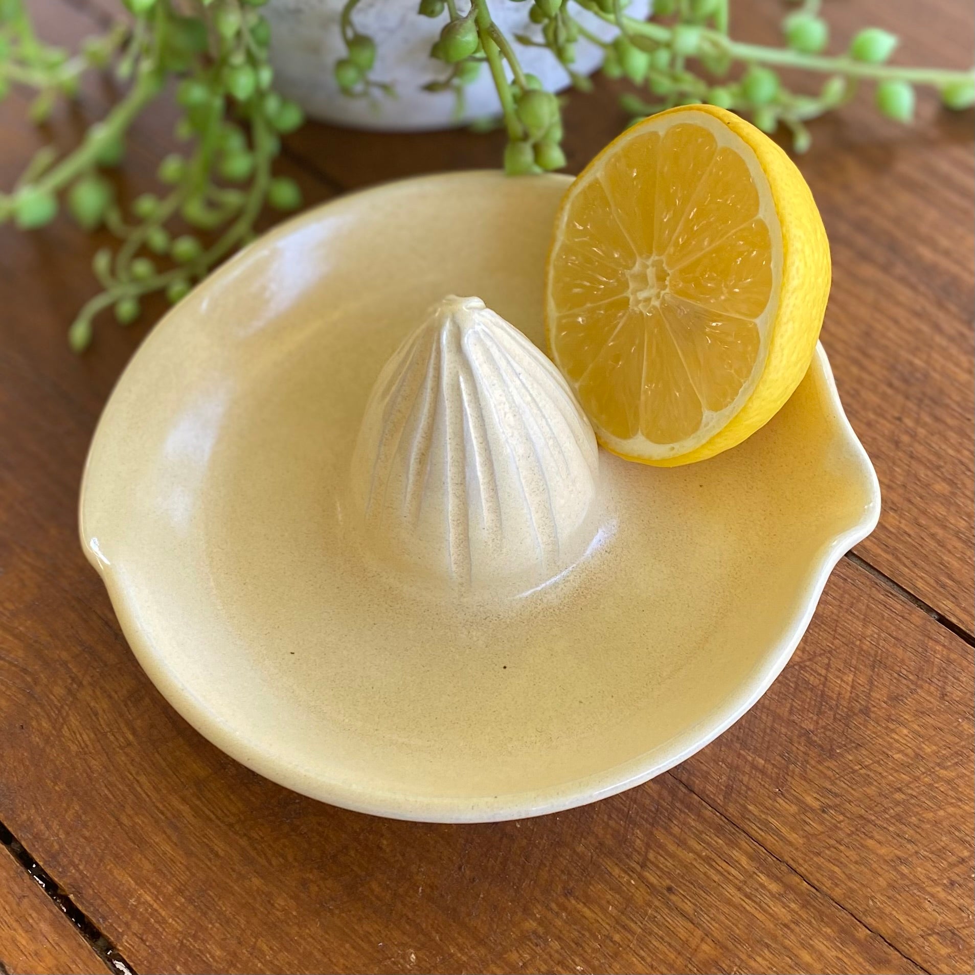 Ceramic Juicer / Handmade Pottery