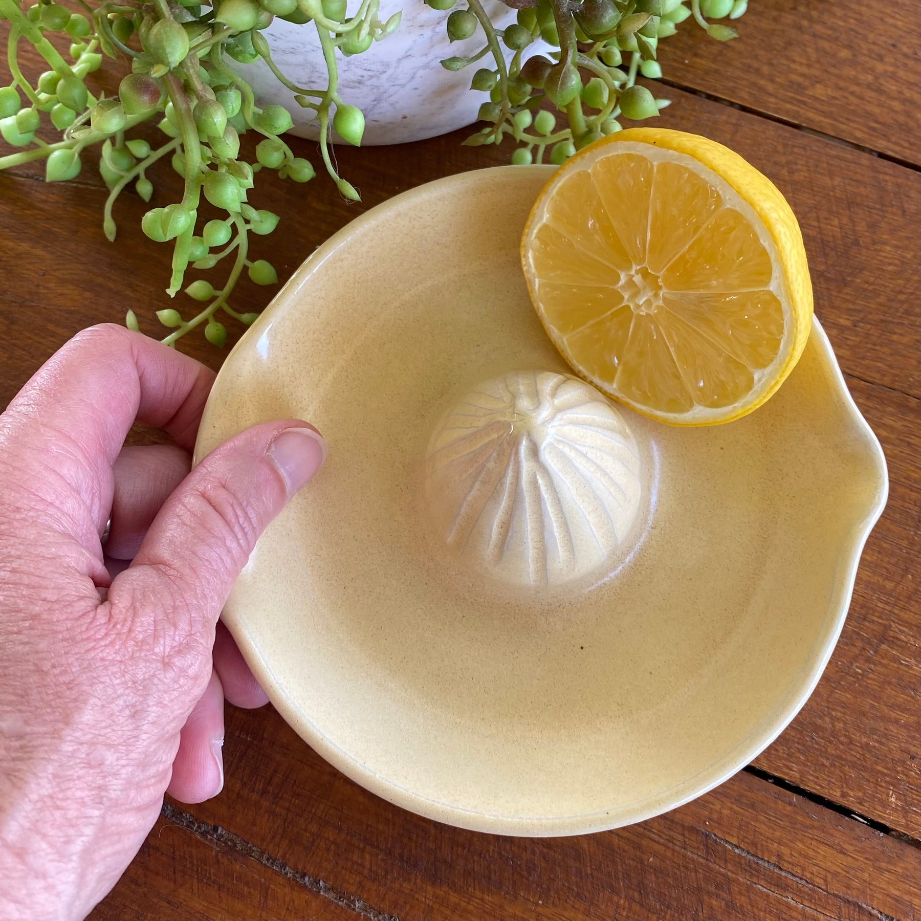 Ceramic Juicer / Handmade Pottery