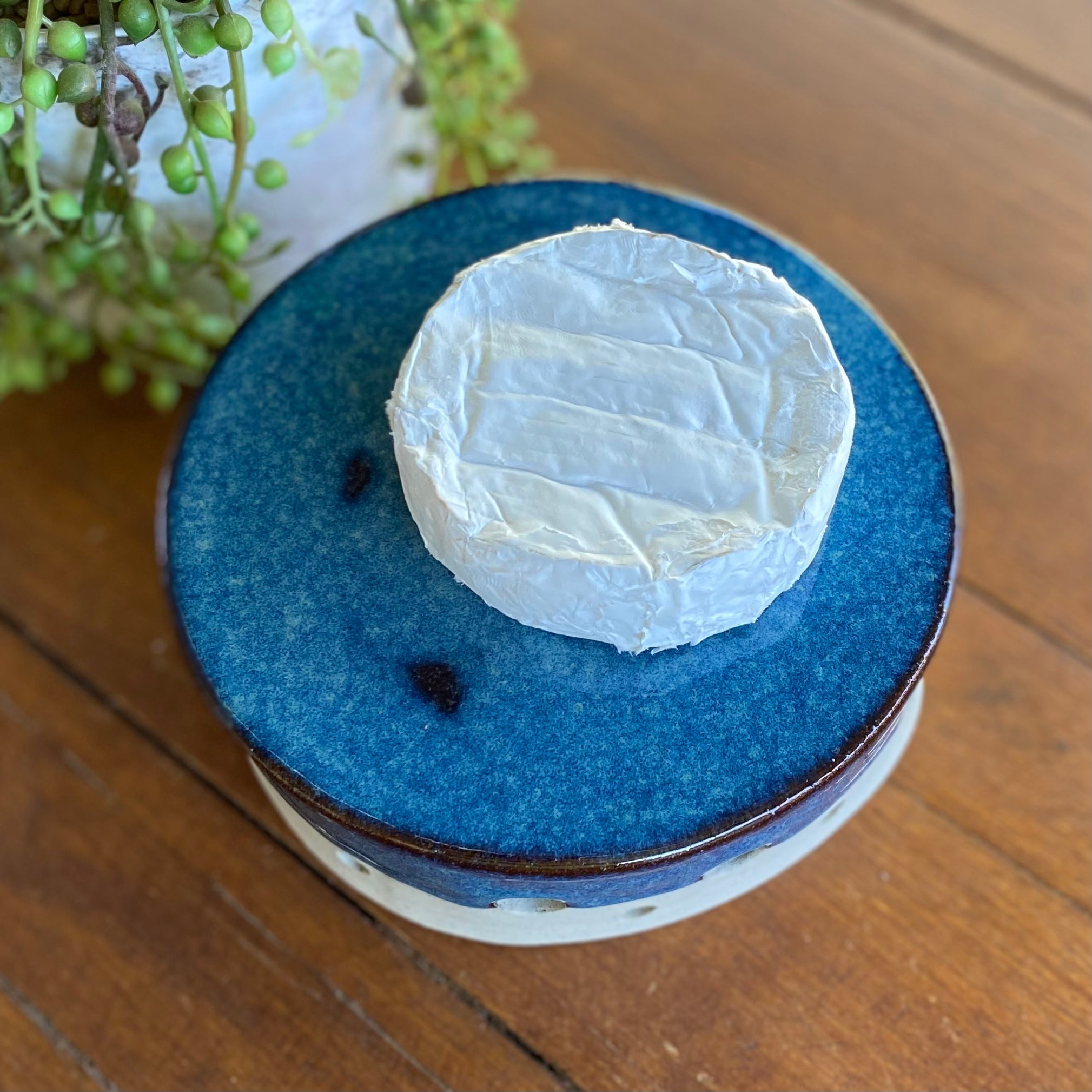 Handmade Ceramic Brie Cheese Warmer|Handmade Pottery