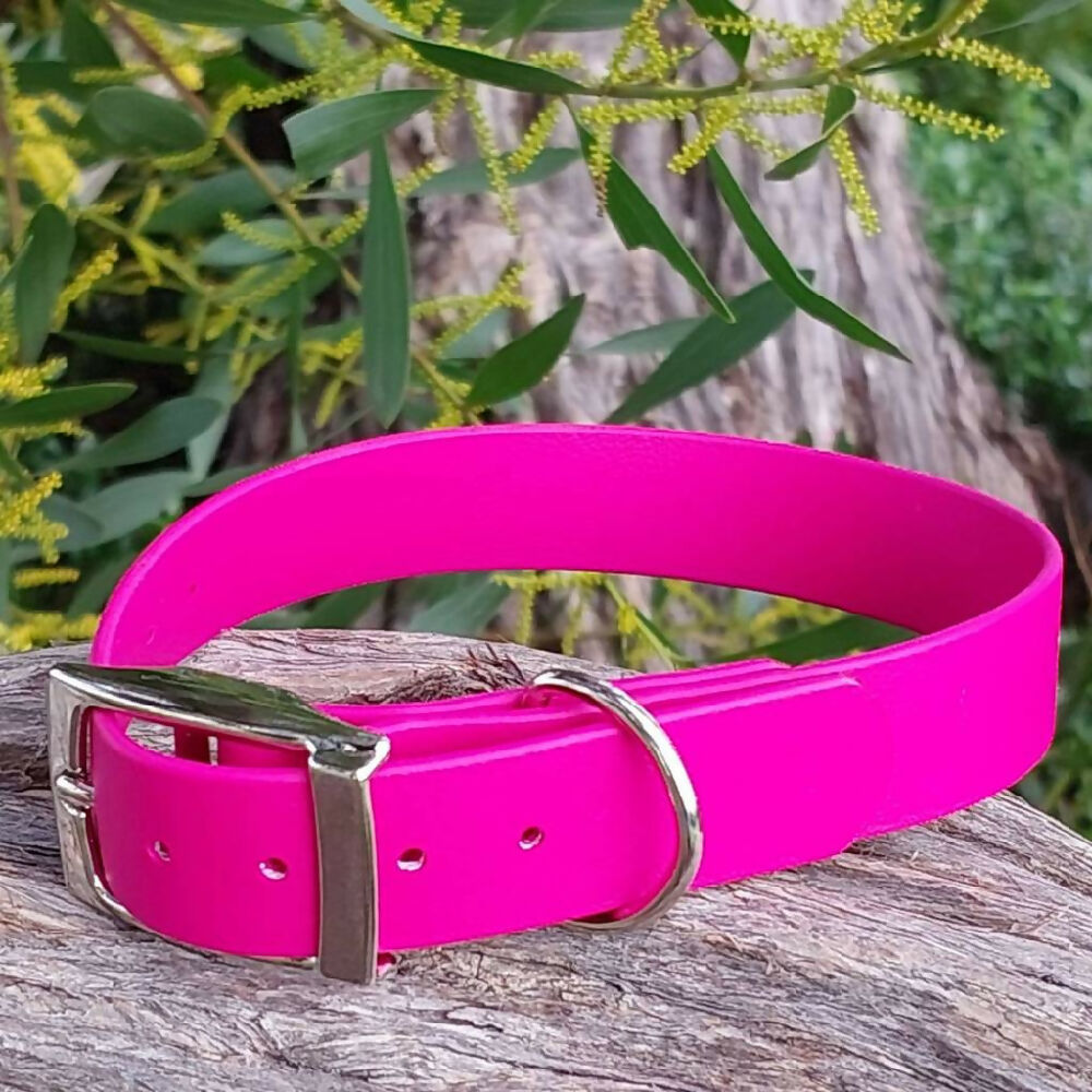 Waterproof dog collar - Bright Colours