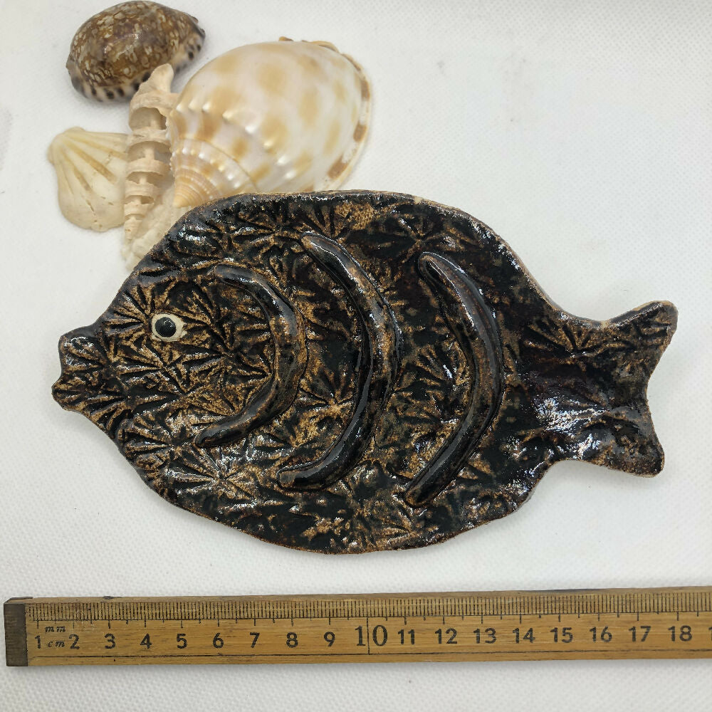 Soap fish Dish