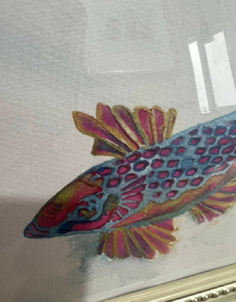 watercolor fish study , titled beneath .