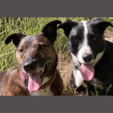 Gifts under $100 - 16x12