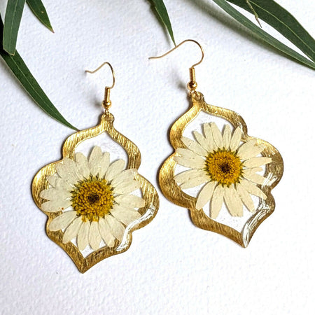 White daisy in window