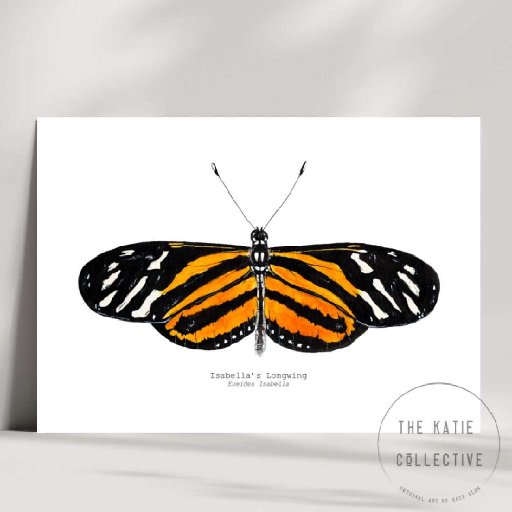 the katie collective - isabella's longwing butterfly