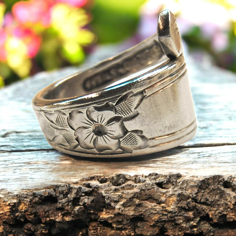 IMG20241029152316-Photoroom