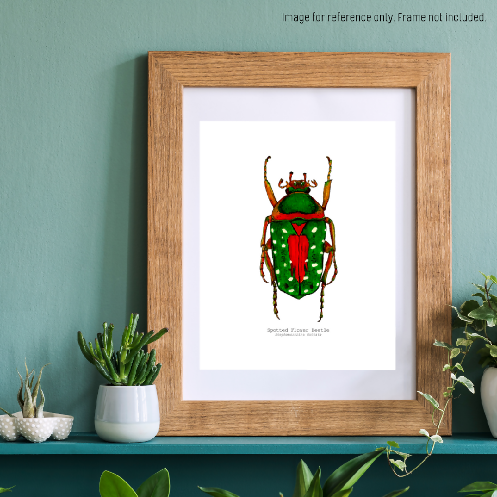 the fauna series - spotted flower beetle