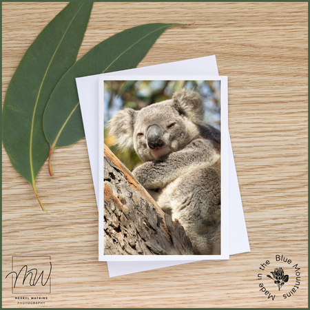 Blank Greeting Card - Koala
