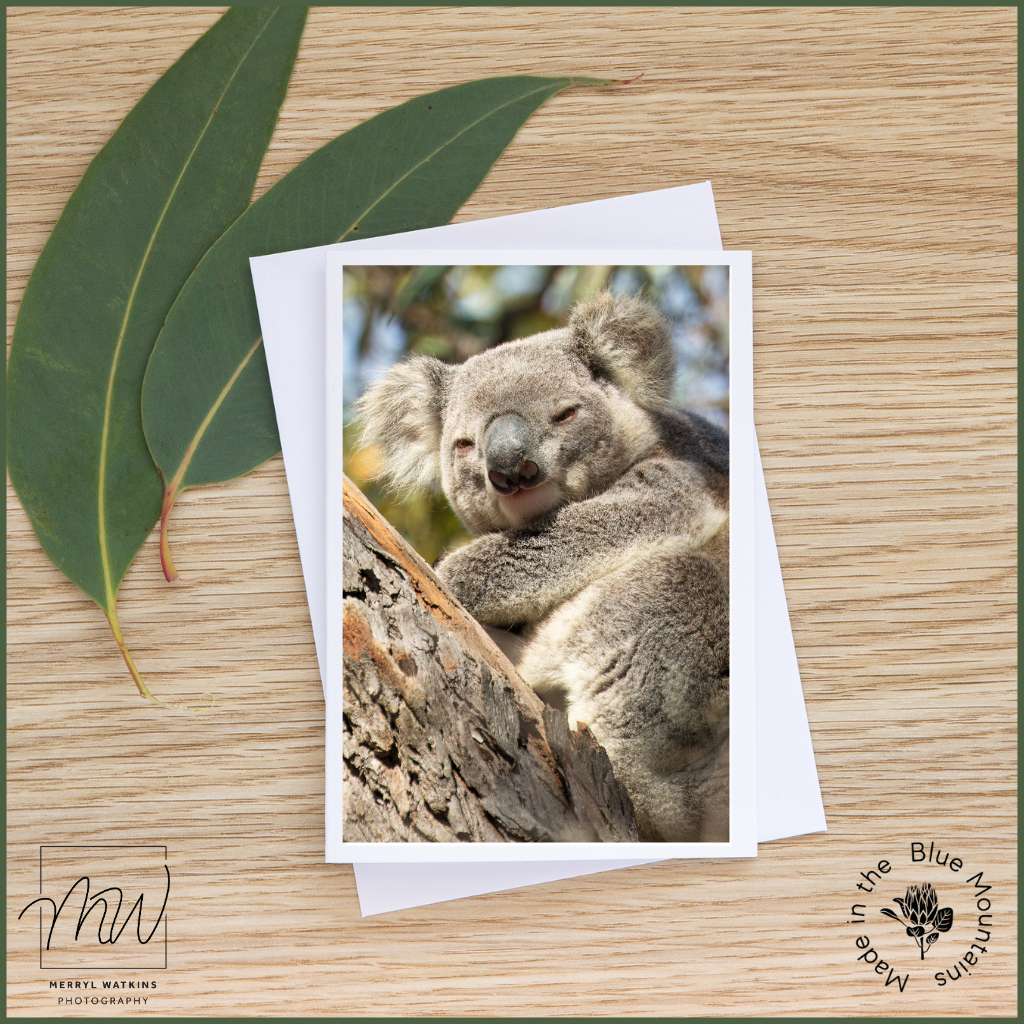Blank Greeting Card - Koala