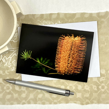 Australiana Floral Blank Card - Orange Banksia