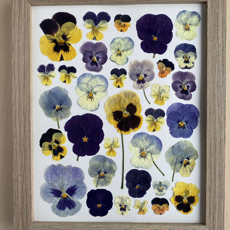 Hand Pressed Pansy Art