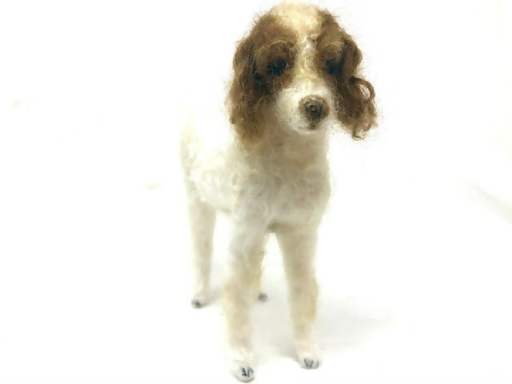 poodle 2