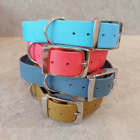 Waterproof dog collar - Light Colours