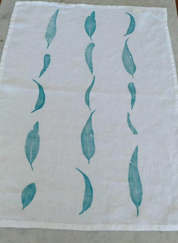 IMG_20241120_154645 (1)