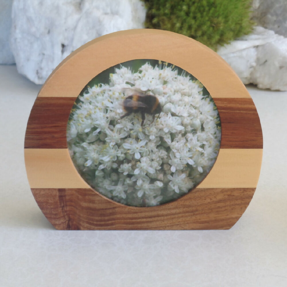 Photo Frame Set- Tasmanian Blackwood & Huon Pine