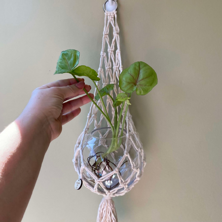 Macrame Bowl Plant Hanger