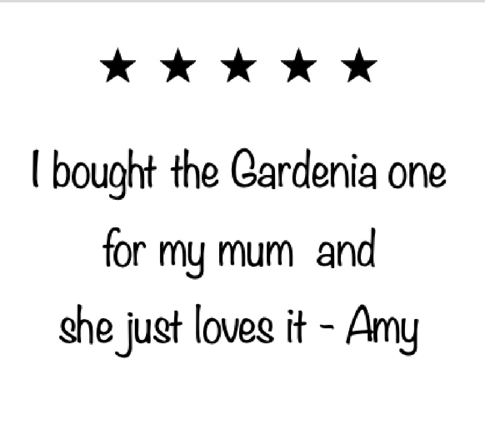 Screen Shot 2025-05-18 at 3.19.06 pm