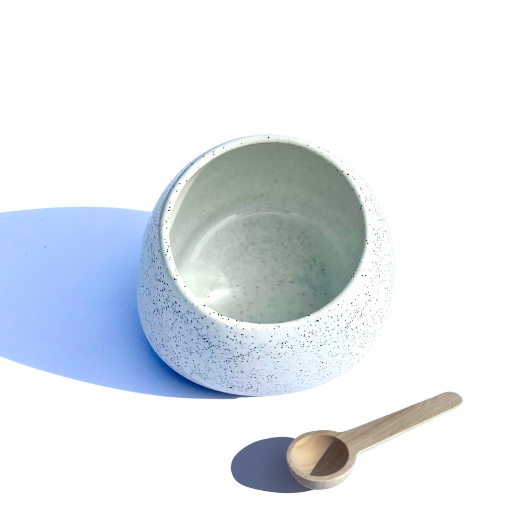 Ceramic Salt Cellar/Pig with Wooden Spoon