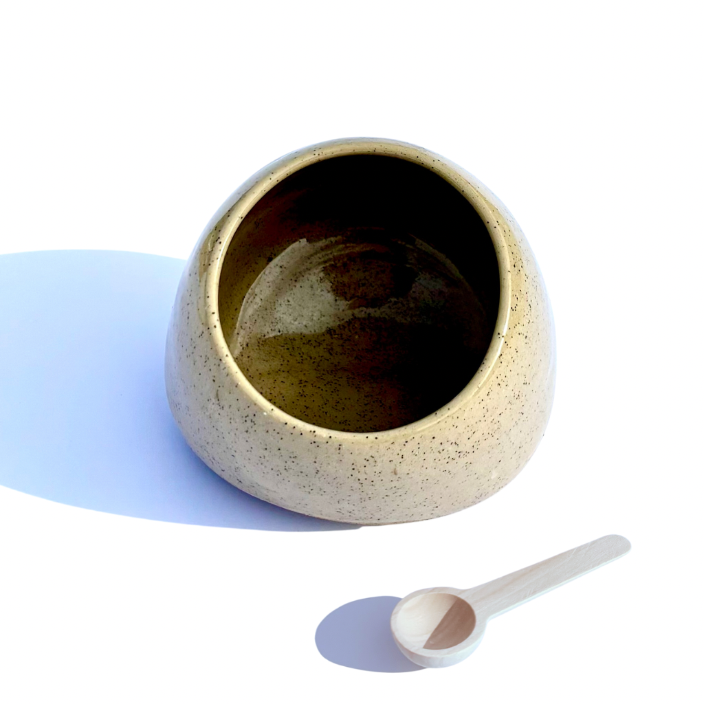 Ceramic Salt Cellar/Pig with Wooden Spoon