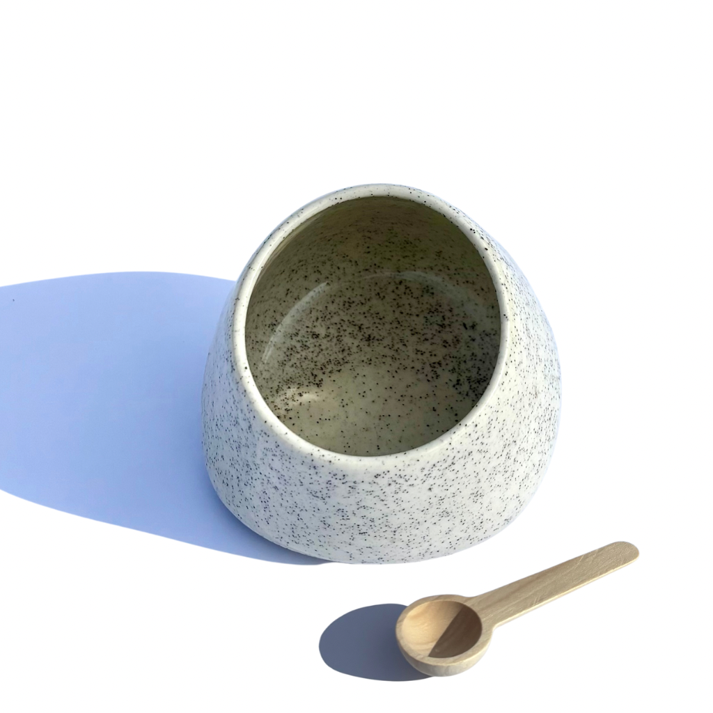 Ceramic Salt Cellar/Pig with Wooden Spoon