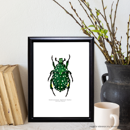 Watercolour Art Print - The Insect Series - 'Mediterranean Spotted Chafer'