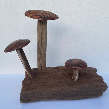Hand carved Mushrooms