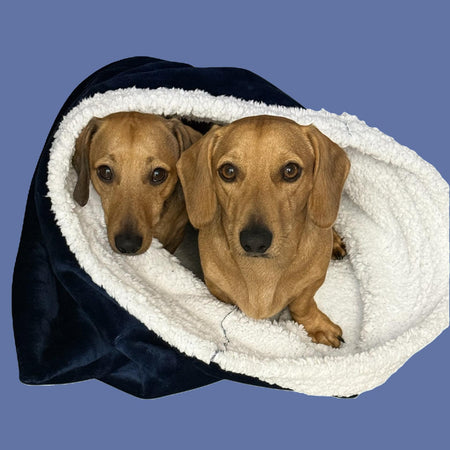 Pet Cozy sleeping snuggle sack for bed. Suits dog, cat, rabbit,lizard