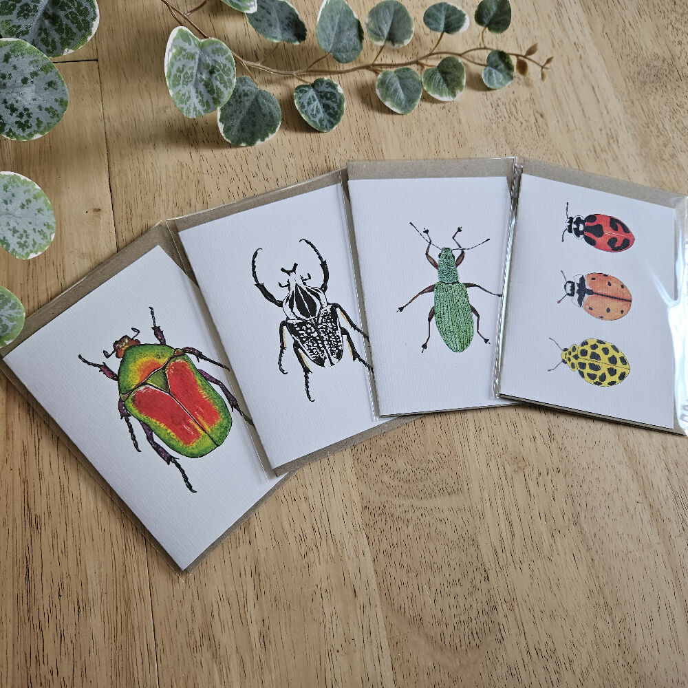 Watercolour Greeting Cards - Beetles - Set of 4