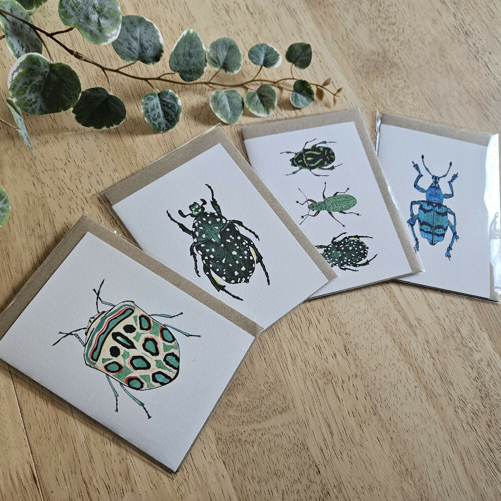 Watercolour Greeting Cards - Beetles - Set of 4