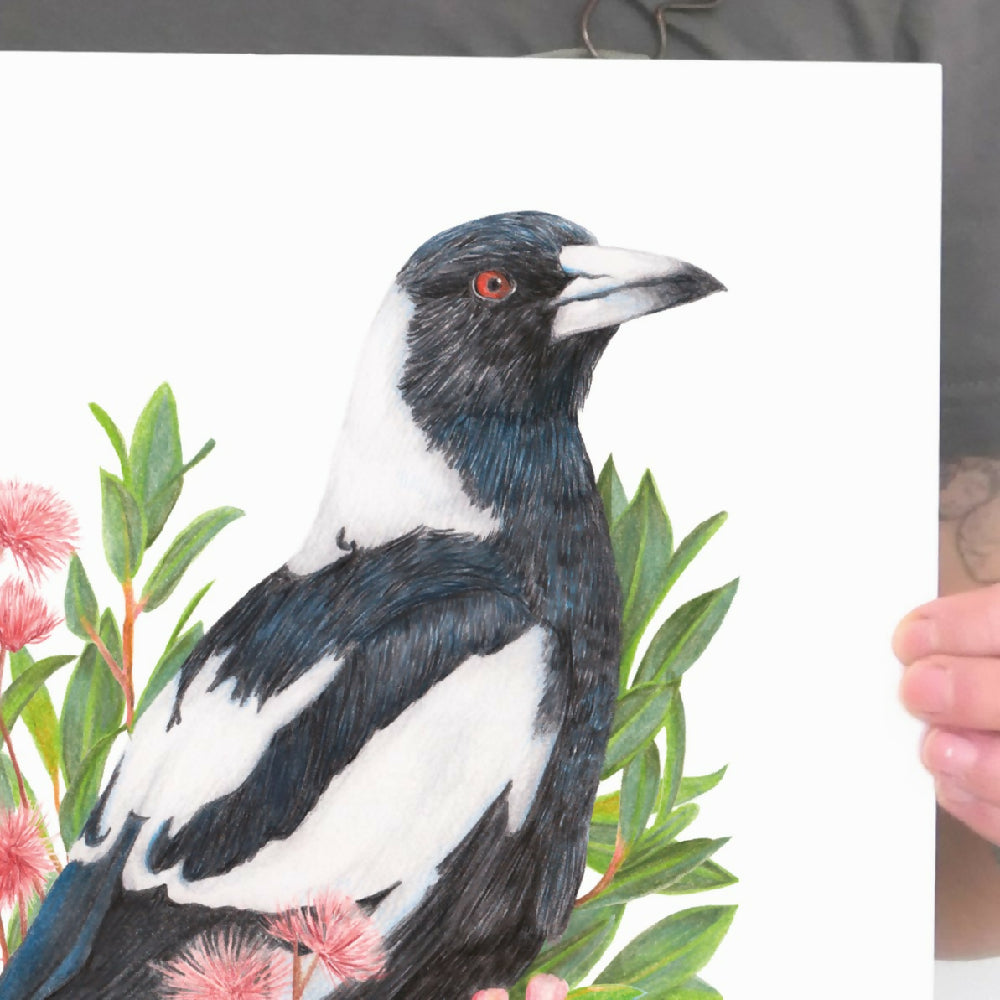 Australian Magpie Art Print